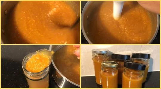 Recipe for Wingstop Mango Habanero Sauce